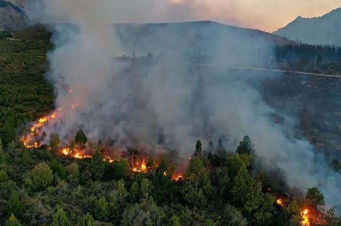 En 20 incendios se han quemado más de 17 mil hectáreas